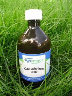 Caulophyllum 200c DC