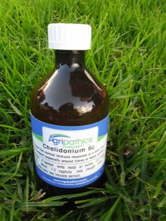 Chelidonium 6c FA