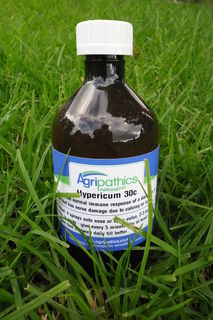Hypericum 30c FA