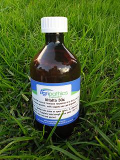 Alfalfa 30c DC