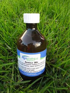 Arnica 30c DC
