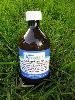 Caulophyllum 30c DC