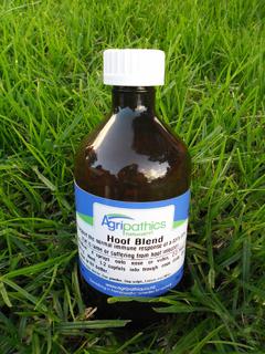 Hoof Blend DC