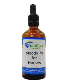 Moody M