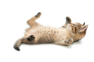 Homeopathic remedies for colic, constipation, vomiting