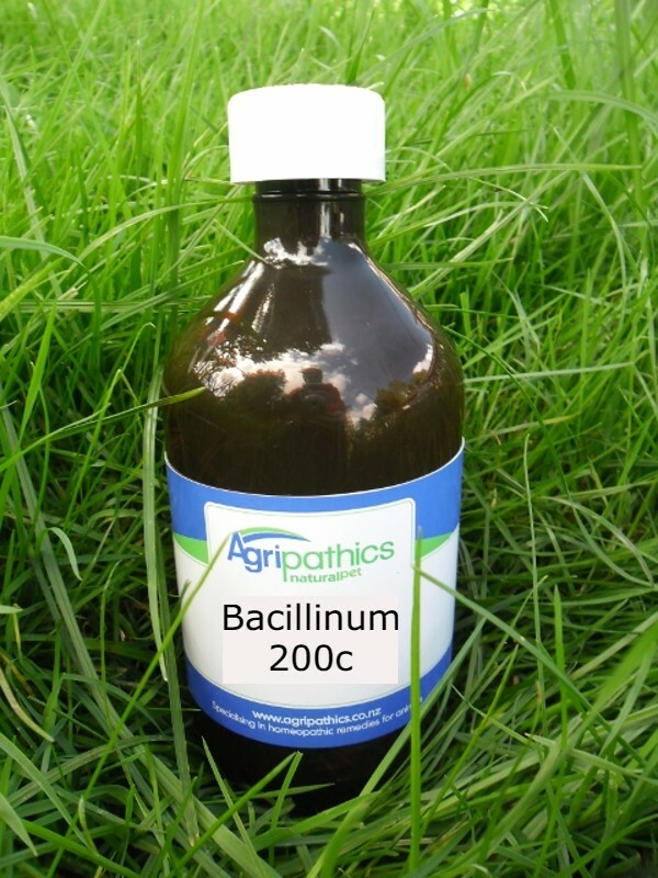 Bacillinum 200c FA