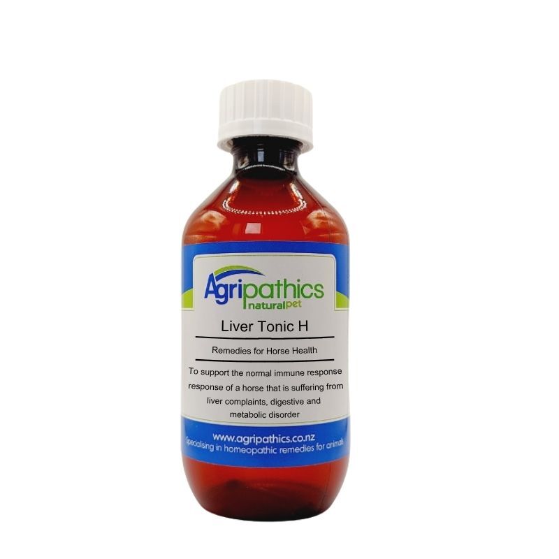 Liver Tonic for horses