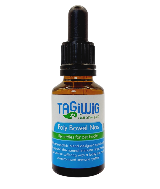 Homeopathic remedies discount for kennel cough