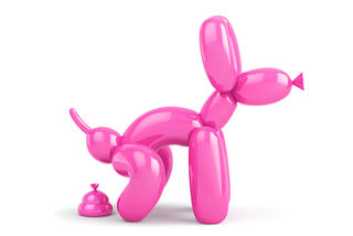 Diarrhoea in Dogs and Cats