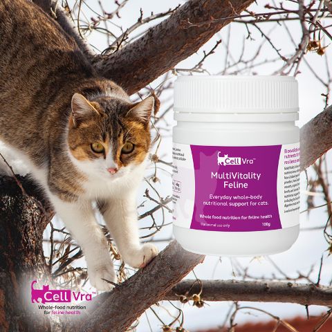MultiVitality Feline