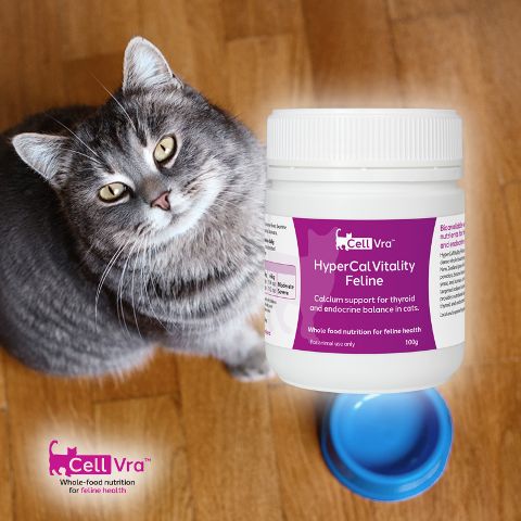 HyperCalVitality Feline