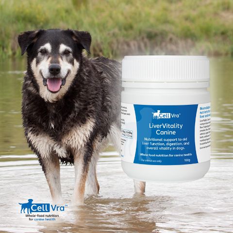 LiverVitality Canine