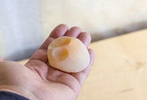 Causes of soft shelled eggs in chickens